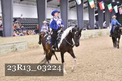 23R13_03224 thumbnail