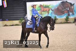 23R13_03225 thumbnail