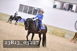 23R13_03227 thumbnail