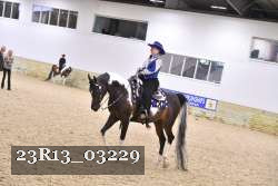 23R13_03229 thumbnail