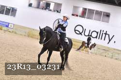 23R13_03231 thumbnail