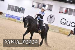 23R13_03232 thumbnail