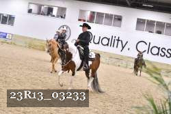 23R13_03233 thumbnail