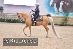 23R13_03235 thumbnail
