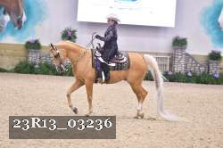 23R13_03236 thumbnail