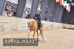 23R13_03237 thumbnail