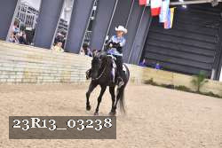 23R13_03238 thumbnail