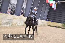23R13_03239 thumbnail