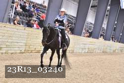 23R13_03240 thumbnail