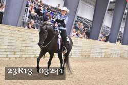 23R13_03241 thumbnail