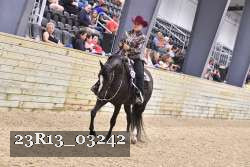 23R13_03242 thumbnail