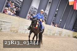 23R13_03244 thumbnail