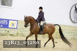 23R13_03280 thumbnail