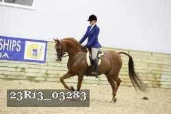 23R13_03283 thumbnail