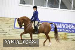 23R13_03284 thumbnail