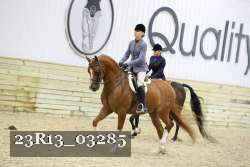 23R13_03285 thumbnail