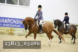 23R13_03286 thumbnail