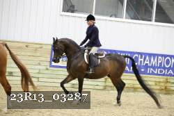 23R13_03287 thumbnail