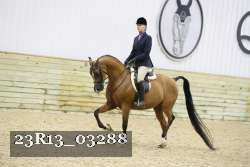 23R13_03288 thumbnail
