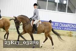 23R13_03289 thumbnail