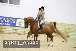 23R13_03290 thumbnail