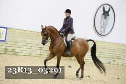 23R13_03291 thumbnail