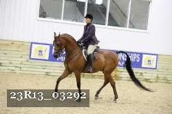 23R13_03292 thumbnail