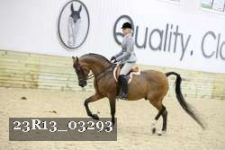 23R13_03293 thumbnail