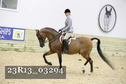 23R13_03294 thumbnail