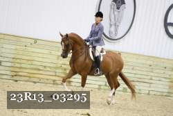 23R13_03295 thumbnail