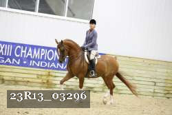 23R13_03296 thumbnail