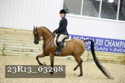 23R13_03298 thumbnail