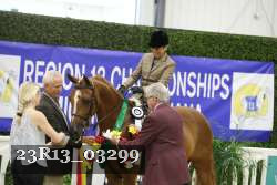 23R13_03299 thumbnail
