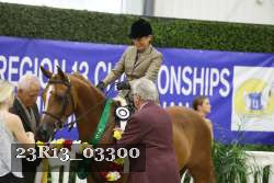 23R13_03300 thumbnail