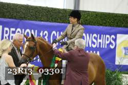 23R13_03301 thumbnail