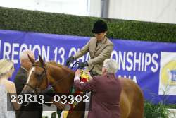 23R13_03302 thumbnail
