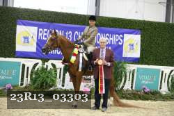 23R13_03303 thumbnail