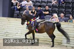 23R13_03348 thumbnail