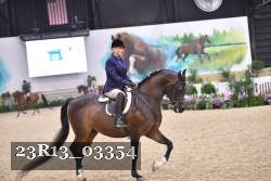 23R13_03354 thumbnail