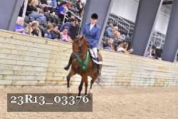 23R13_03376 thumbnail