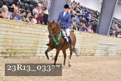 23R13_03377 thumbnail