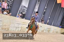 23R13_03378 thumbnail