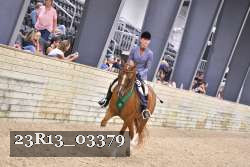 23R13_03379 thumbnail