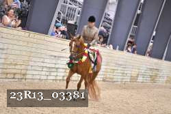 23R13_03381 thumbnail