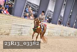 23R13_03382 thumbnail