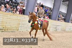 23R13_03383 thumbnail