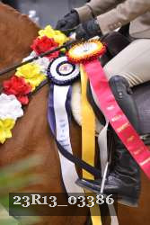23R13_03386 thumbnail