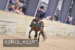 23R13_03387 thumbnail