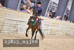 23R13_03388 thumbnail