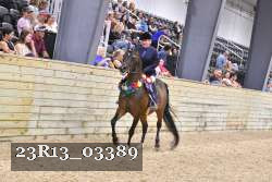 23R13_03389 thumbnail